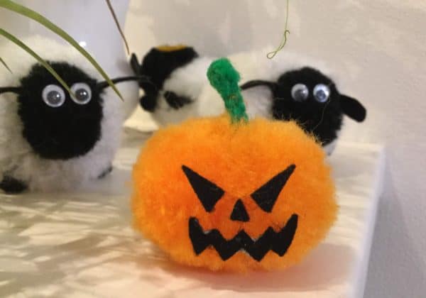 GIG SCHEDULES (2019.11月~12月)