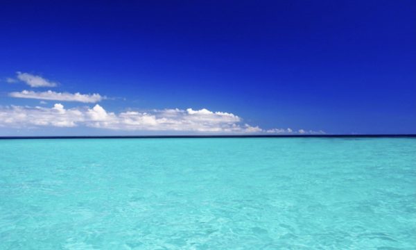 2023年9月28日(木)@難波セラバーケント